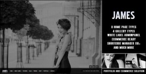 james-the-next-generation-wp-theme