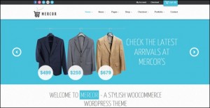 mercor-responsive-wp