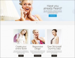 simplicity-ecommerce-wordpress-theme