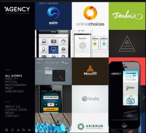 agency