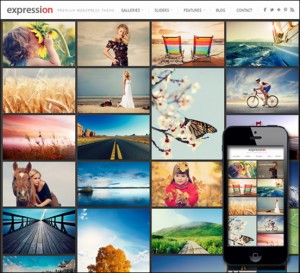 expression-photography-responsive-wordpress-theme550