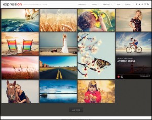 expression_wp