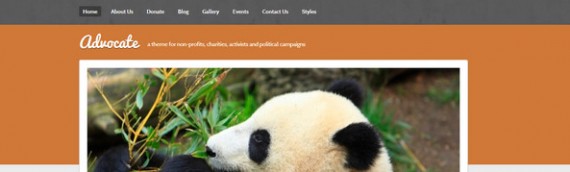 nonprofit wordpress themes